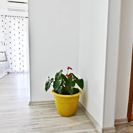 With A Parking Space Valica, - 22453 Апартаменты